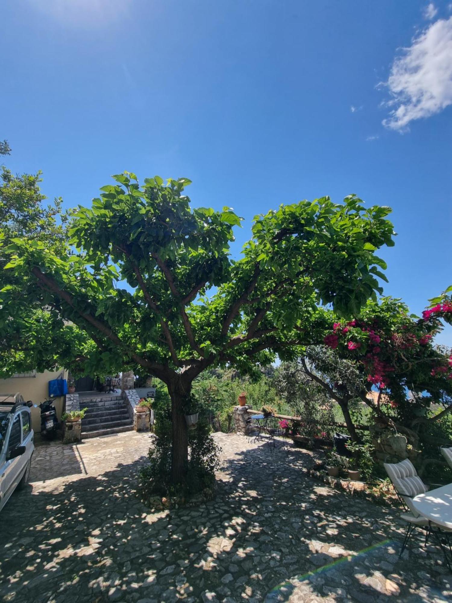 Unique View Apartment Kalamata Zewnętrze zdjęcie